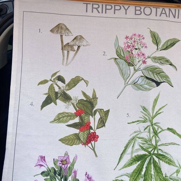 Trippy Botanicals Illustrated Tapestry Urban Outfitters wall hanging - Picture 3 of 9